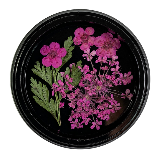 Pink Dried Flowers