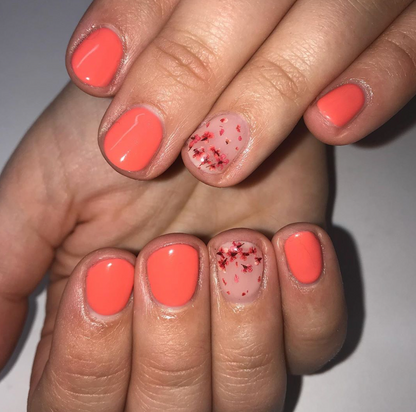 Sweet Coraline Gel Color