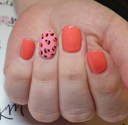 Sweet Coraline Gel Color