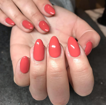 Toodle Lou Gel Color