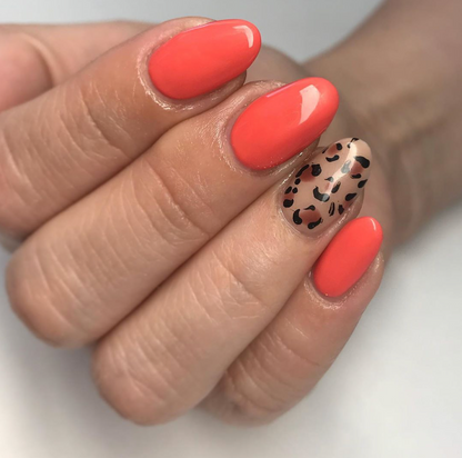 Coral Reef Gel Color