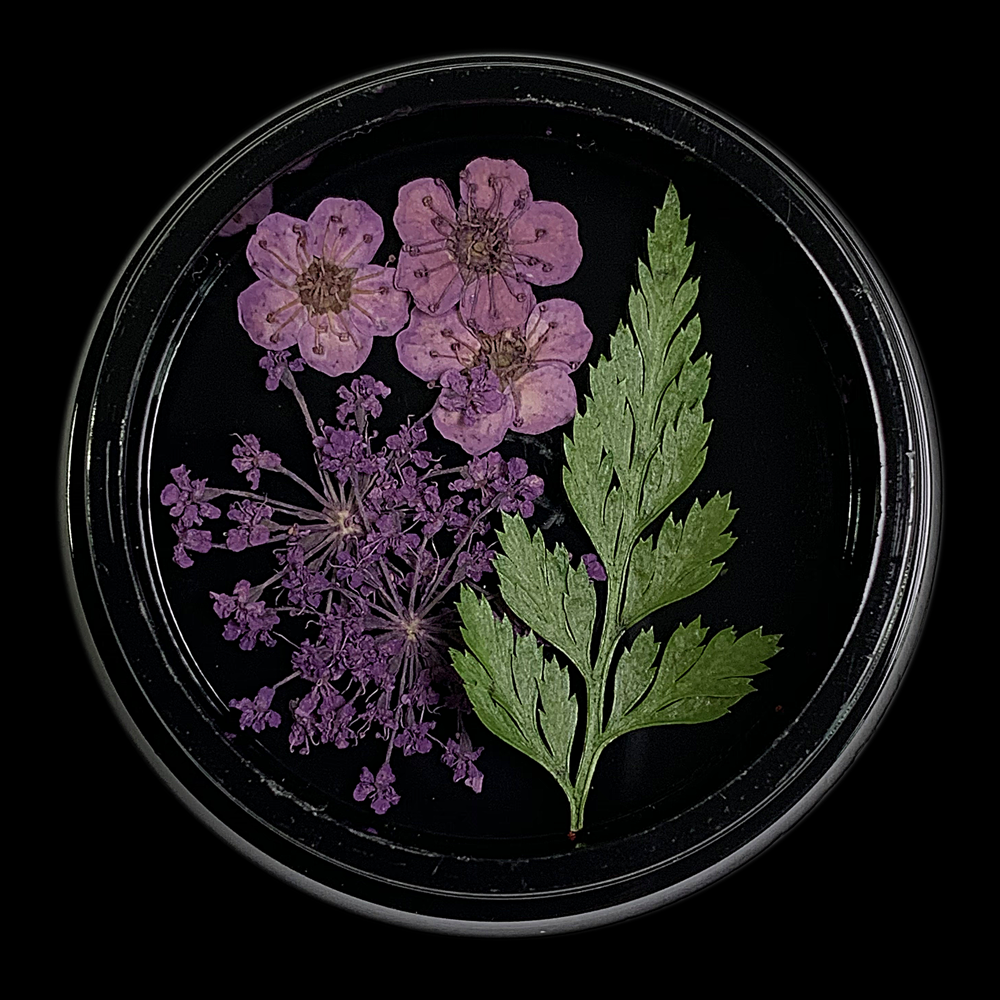 Lavender Dried Flowers