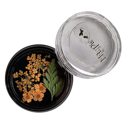 Orange Dried Flowers