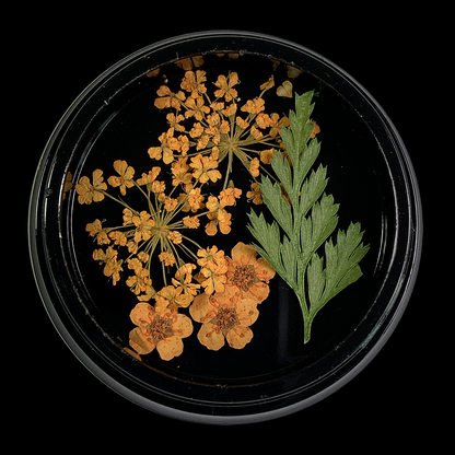 Orange Dried Flowers