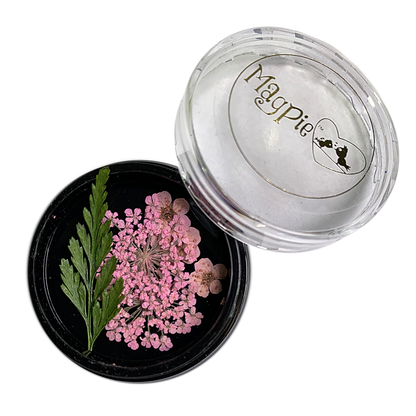 Pale Pink Dried Flowers