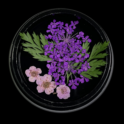 Purple Dried Flowers